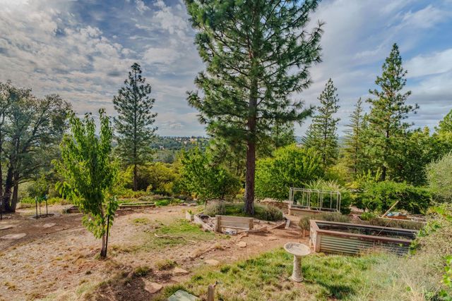 10285 Ponderosa Way, Pine Grove, CA 95665