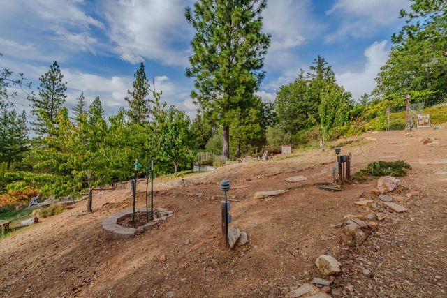 10285 Ponderosa Way, Pine Grove, CA 95665