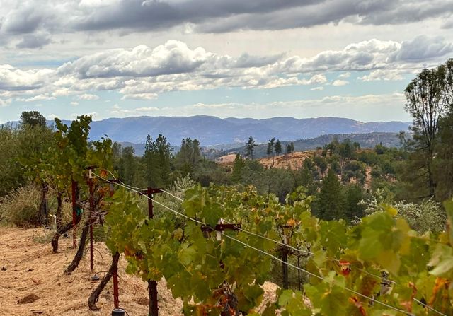 10285 Ponderosa Way, Pine Grove, CA 95665