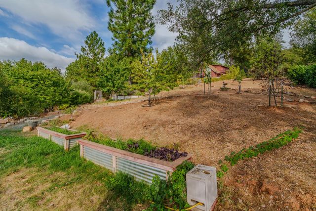 10285 Ponderosa Way, Pine Grove, CA 95665