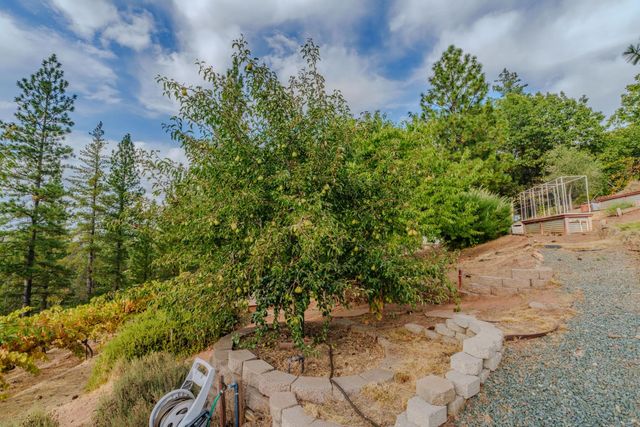 10285 Ponderosa Way, Pine Grove, CA 95665