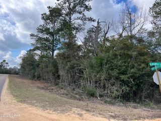 Lot 13 Vancouver Drive, Alford, FL 32420