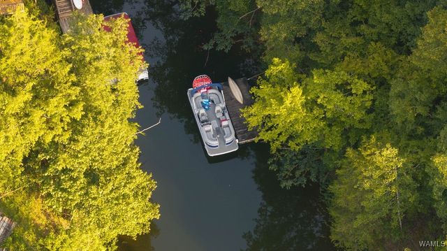 12245 Country Club, Northport, AL 35475