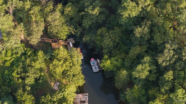 12245 Country Club, Northport, AL 35475