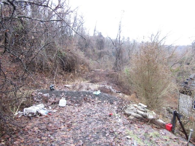 1633 E Cherryhill St, Carrick, PA 15210