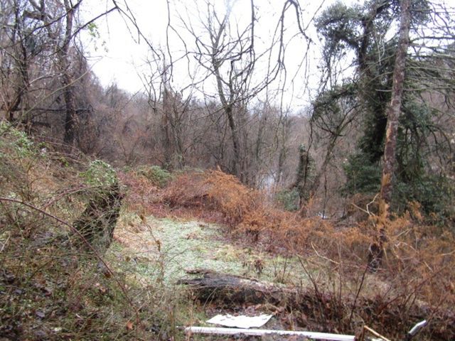 1633 E Cherryhill St, Carrick, PA 15210