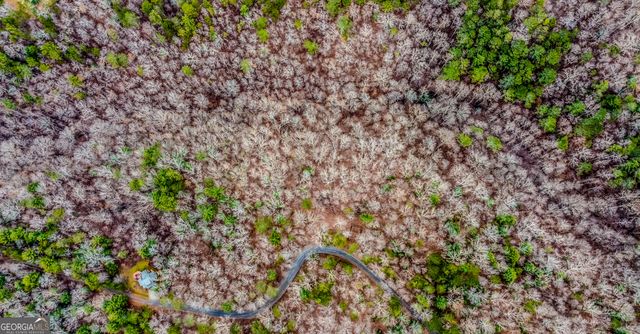 LOT 1694 Shade Tree Drive, Talking Rock, GA 30175