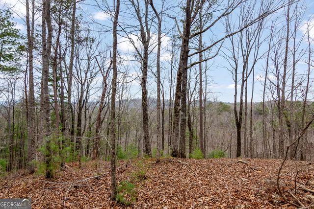 LOT 1694 Shade Tree Drive, Talking Rock, GA 30175