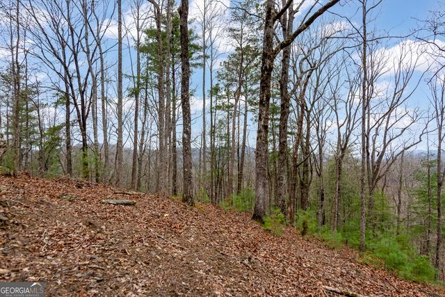 LOT 1694 Shade Tree Drive, Talking Rock, GA 30175