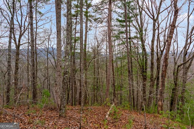 LOT 1694 Shade Tree Drive, Talking Rock, GA 30175