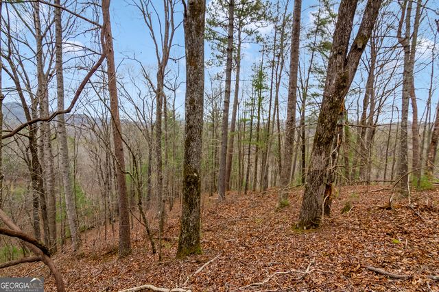 LOT 1694 Shade Tree Drive, Talking Rock, GA 30175