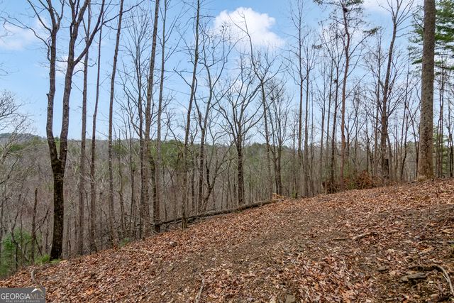 LOT 1694 Shade Tree Drive, Talking Rock, GA 30175