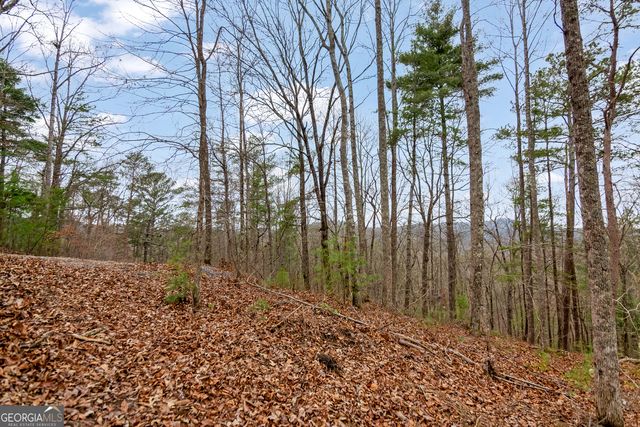 LOT 1694 Shade Tree Drive, Talking Rock, GA 30175