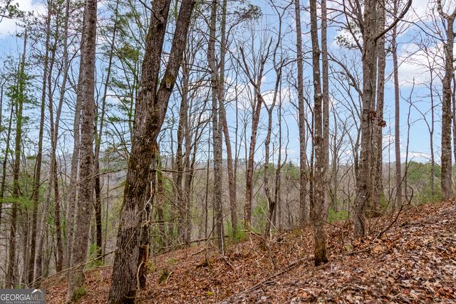 LOT 1694 Shade Tree Drive, Talking Rock, GA 30175