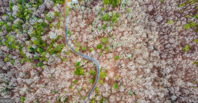 LOT 1694 Shade Tree Drive, Talking Rock, GA 30175