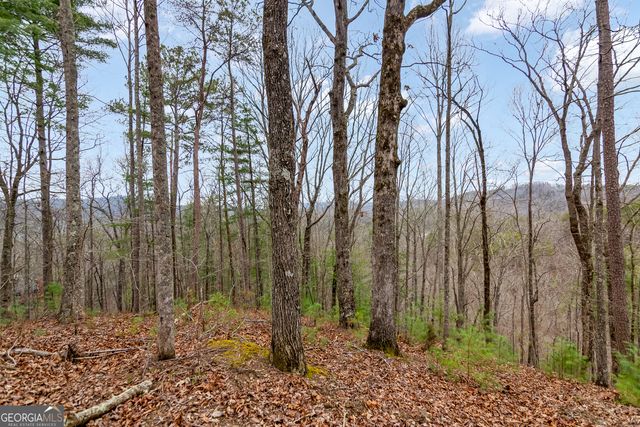 LOT 1694 Shade Tree Drive, Talking Rock, GA 30175