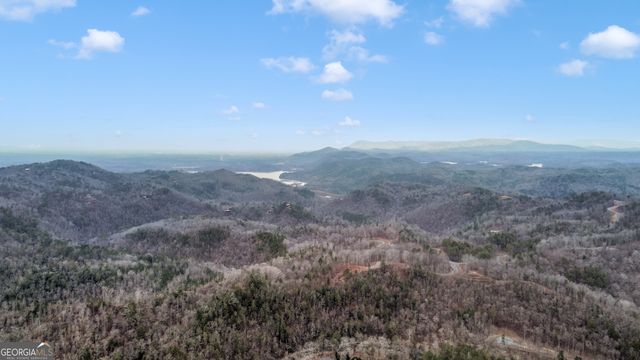 LOT 1694 Shade Tree Drive, Talking Rock, GA 30175