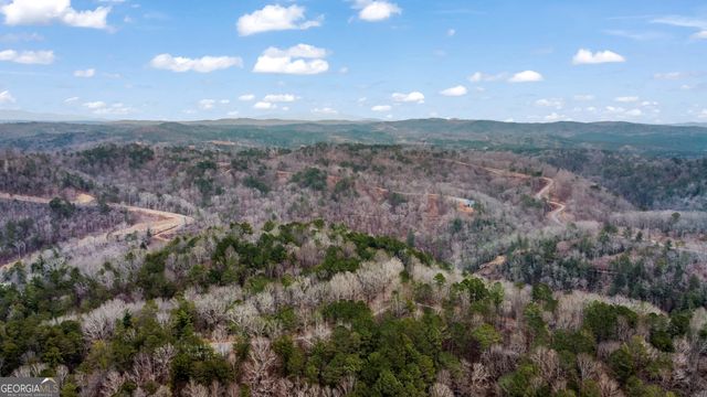 LOT 1694 Shade Tree Drive, Talking Rock, GA 30175