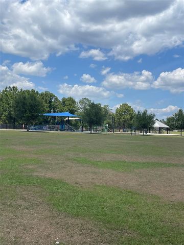 11807 VERMILLION AVE, Windermere, FL 34786