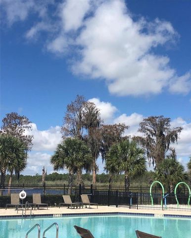11807 VERMILLION AVE, Windermere, FL 34786