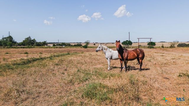 1439 Dagg Road, Yoakum, TX 77995