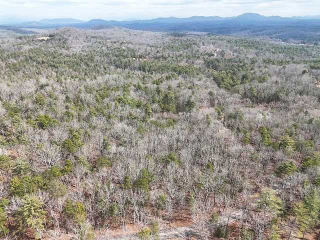 0 Hampton Road, Morganton, GA 30560