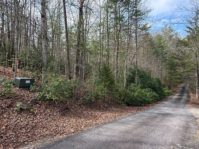 0 Hampton Road, Morganton, GA 30560