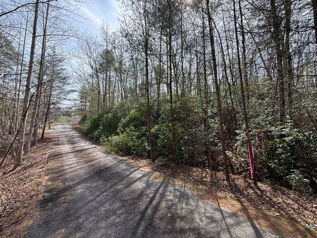 0 Hampton Road, Morganton, GA 30560