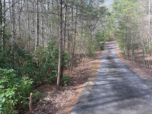 0 Hampton Road, Morganton, GA 30560