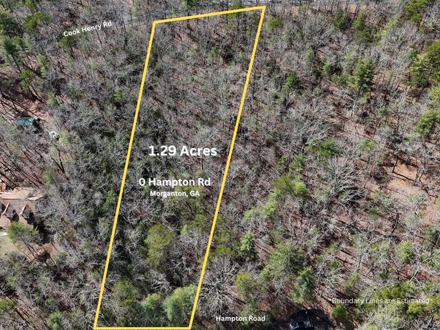 0 Hampton Road, Morganton, GA 30560