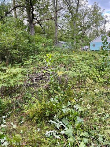 6629 S Tampa, Idlewild, MI 49642