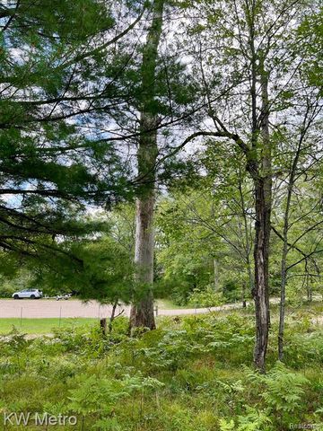 6629 S Tampa, Idlewild, MI 49642