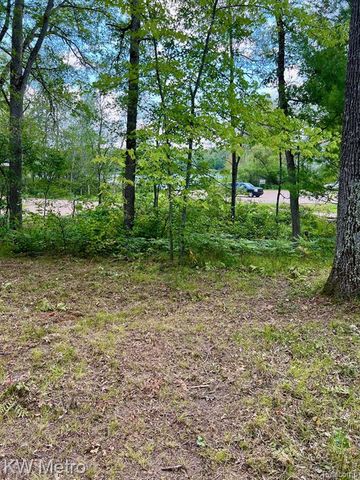 6629 S Tampa, Idlewild, MI 49642