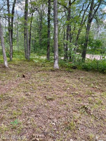 6629 S Tampa, Idlewild, MI 49642