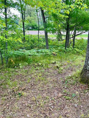 6629 S Tampa, Idlewild, MI 49642