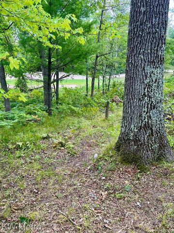 6629 S Tampa, Idlewild, MI 49642