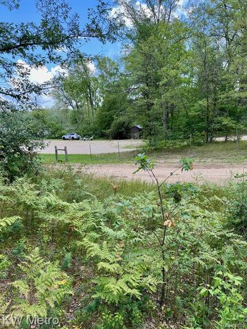 6629 S Tampa, Idlewild, MI 49642