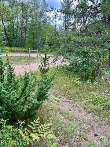 6629 S Tampa, Idlewild, MI 49642