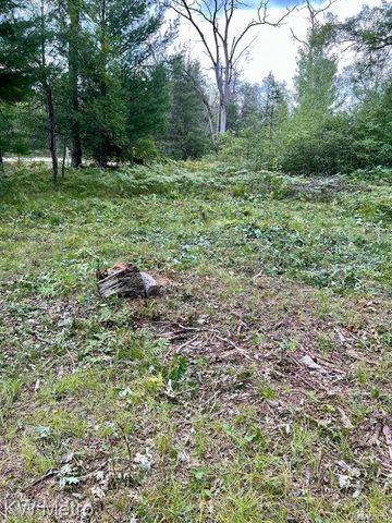 6629 S Tampa, Idlewild, MI 49642