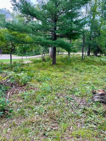 6629 S Tampa, Idlewild, MI 49642