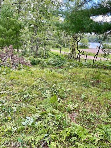 6629 S Tampa, Idlewild, MI 49642