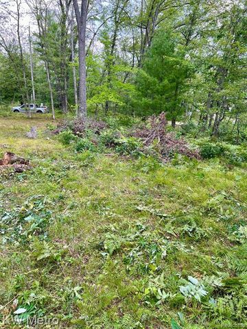 6629 S Tampa, Idlewild, MI 49642