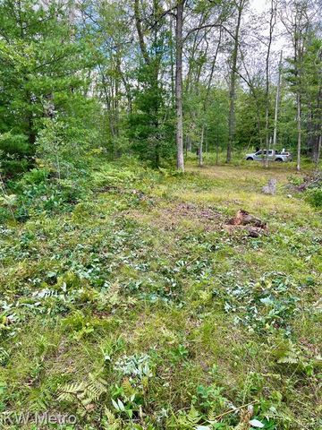 6629 S Tampa, Idlewild, MI 49642