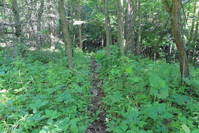 4437 PINE GROVE ROAD, Denmark, WI 54208