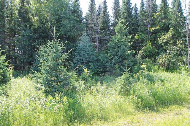 4437 PINE GROVE ROAD, Denmark, WI 54208