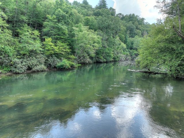 588 Blackberry Drive, Mineral Bluff, GA 30559