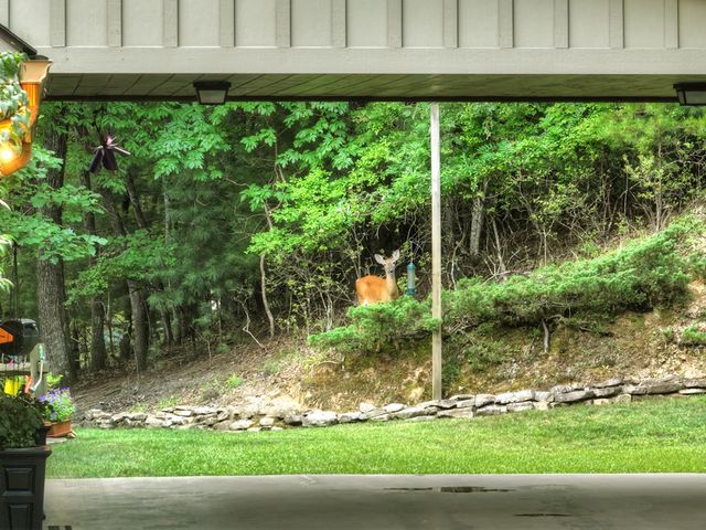 588 Blackberry Drive, Mineral Bluff, GA 30559