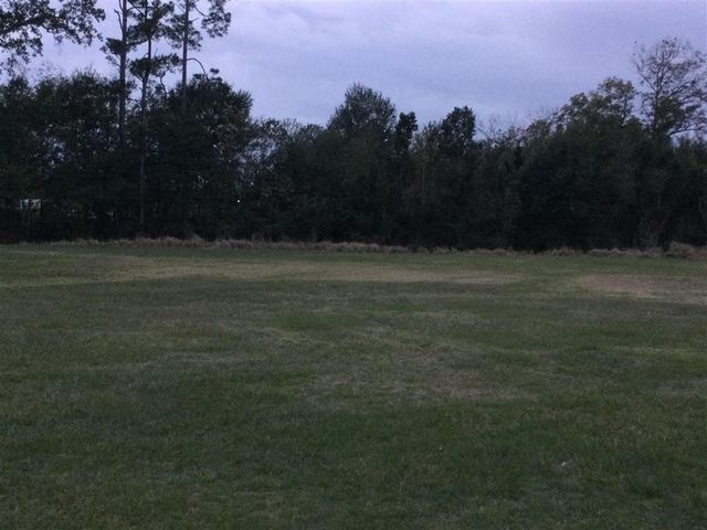 Trina Lane, Sulphur, LA 70663