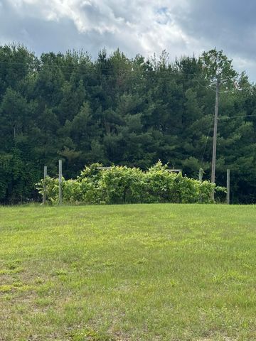 760 170th Avenue, Deerfield Twp, MI 49336