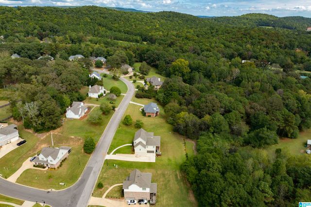 120 MACDONALD LAKE ROAD, Springville, AL 35146